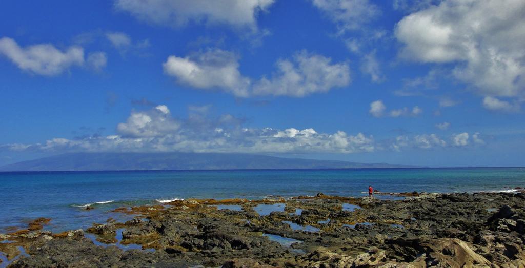 Condos At Napili Point Lahaina Εξωτερικό φωτογραφία
